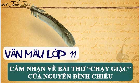 Cảm nhận về bài thơ Chạy giặc của Nguyễn Đình Chiểu