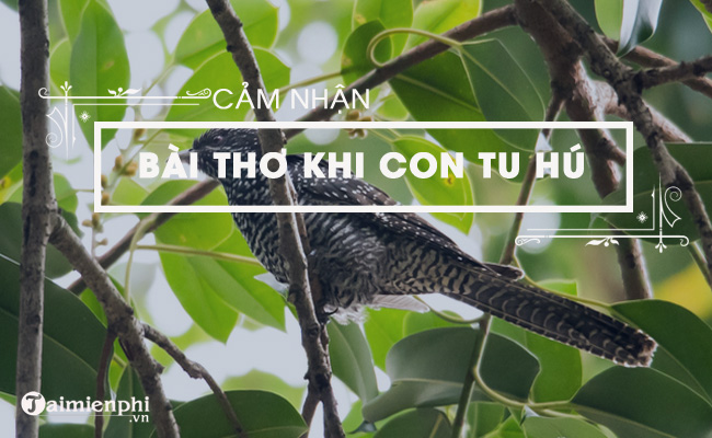 cam nhan cua em ve bai tho khi con tu hu