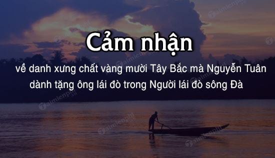 cam nhan ve danh xung chat vang muoi tay bac ma nguyen tuan danh tang ong lai do trong nguoi lai do song da