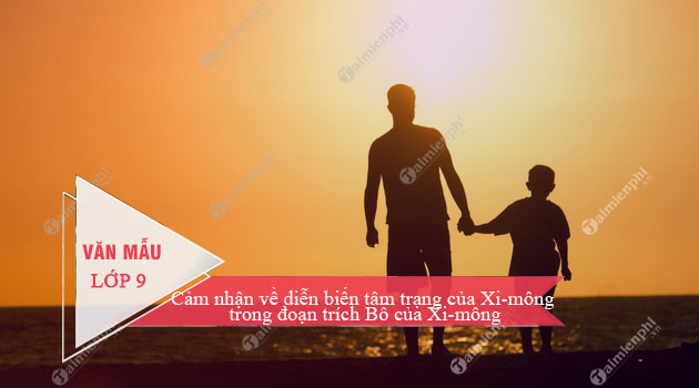 cam nhan ve dien bien tam trang cua xi mong trong doan trich bo cua xi mong