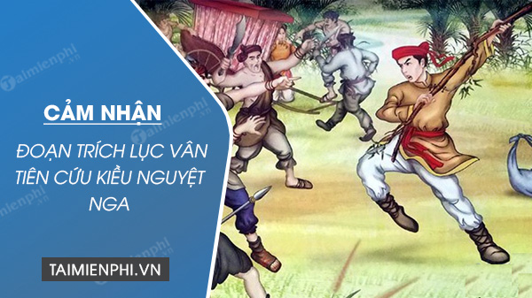 cam nhan ve doan trich luc van tien cuu kieu nguyet nga