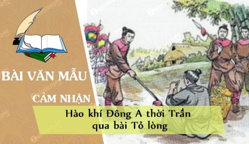 cam nhan ve hao khi dong a thoi tran qua bai to long