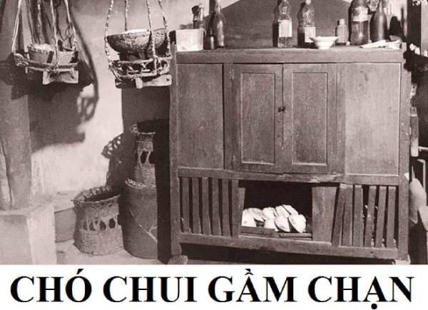 Chạn vương nghĩa đen là Chó chui gầm chạn