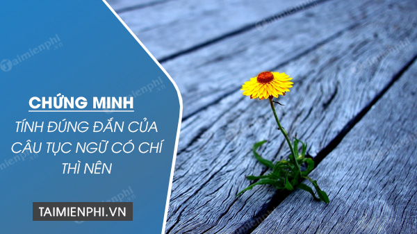 chung minh tinh dung dan cua cau tuc ngu co chi thi nen