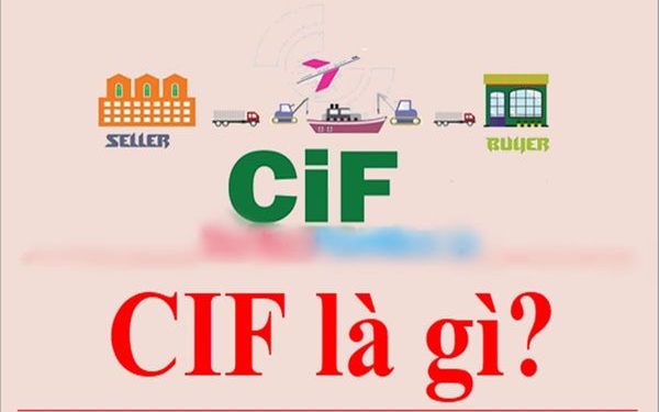 CIF là gì?