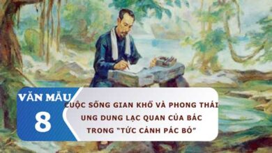 cuoc song va phong thai cua bac trong tuc canh pac bo rs650 2