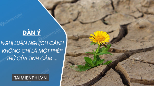 dan y nghi luan xa hoi nghich canh khong chi la mot phep thu cua tinh cam