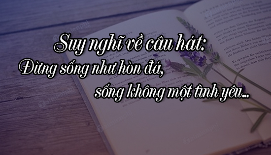 dan y suy nghi ve cau hat dung song nhu hon da song khong mot tinh yeu