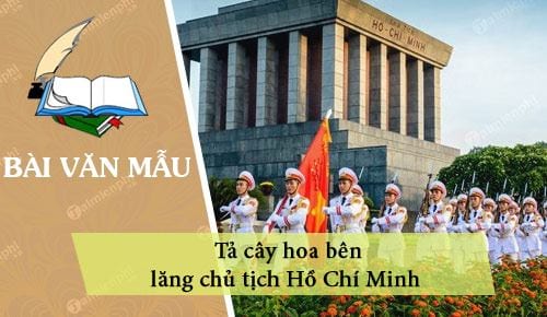 dan y ta cay hoa ben lang chu tich ho chi minh