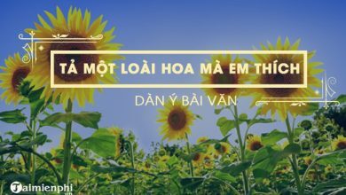 dan y ta mot loai hoa ma em thich 390x220 1