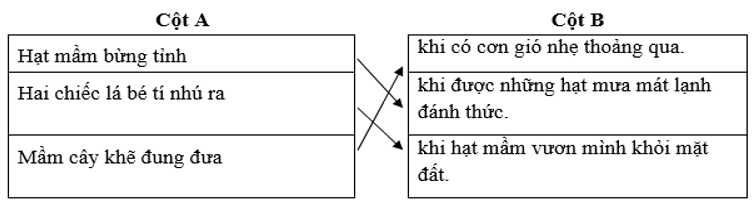 dap an noi cot