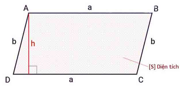dien tich hinh binh hanh