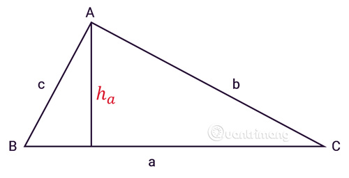 Tính diện tích tam giác thường
