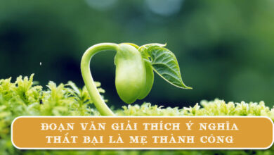 doan van giai thich y nghia that bai la me thanh cong rs650