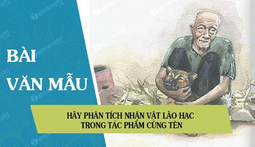 hay phan tich nhan vat lao hac trong tac pham cung ten