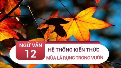 kien thuc bai mua la rung trong vuon ma van khang rs650 3