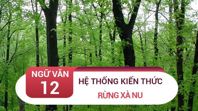 Kiến thức bài Rừng xà nu - Nguyễn Trung Thành