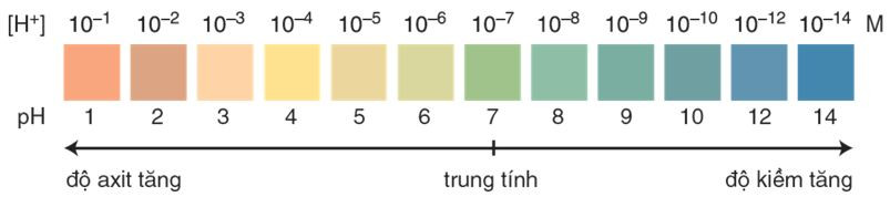 Tóm tắt lý thuyết Hóa học 11 Bài 3