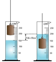 Tóm tắt lý thuyết Vật Lí 6 Bài 2