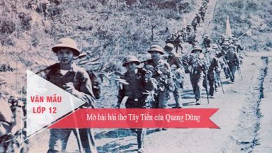 mo bai bai tho tay tien cua quang dung 390x220 1