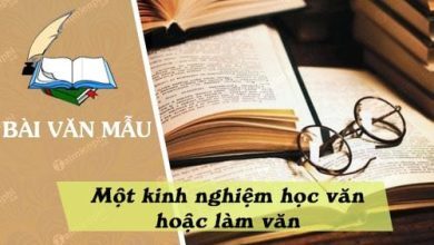 mot kinh nghiem hoc van hoac lam van 390x220 1