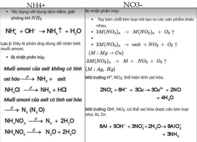 Muối amoni NH4+ và NO3-