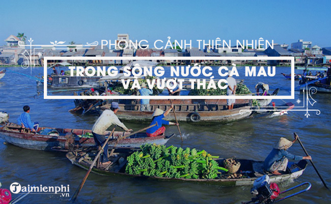 dac sac trong mieu ta phong canh trong song nuoc ca mau va vuot thac