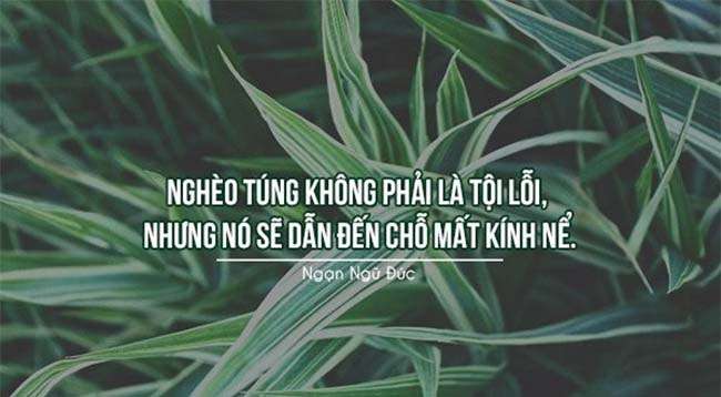 Những câu nói hay về tiền tài danh vọng