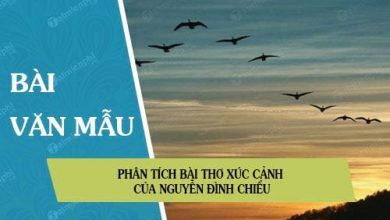 phan tich bai tho xuc canh cua nguyen dinh chieu 390x220 1