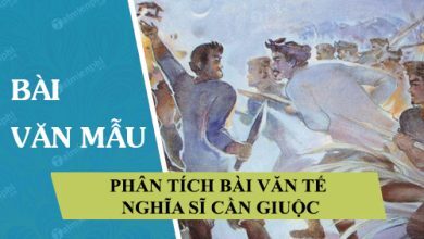 phan tich bai van te nghia si can giuoc 390x220 1