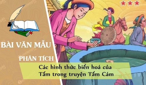 phan tich cac hinh thuc bien hoa cua tam trong truyen tam cam