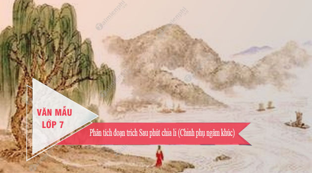 phan tich doan trich sau phut chia li chinh phu ngam khuc