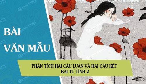 phan tich hai cau luan va hai cau ket bai tu tinh 2