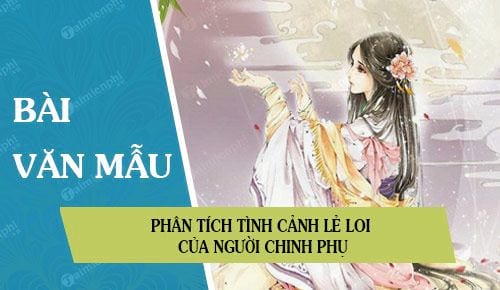 phan tich tinh canh le loi cua nguoi chinh phu