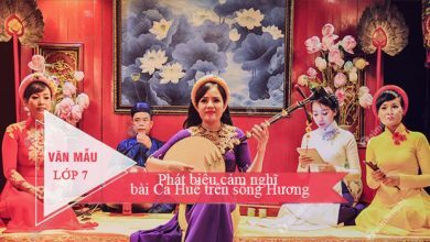 phat bieu cam nghi bai ca hue tren song huong 390x220 1