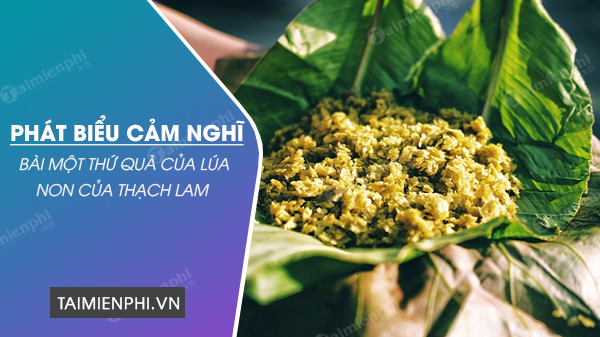 phat bieu cam nghi ve bai mot thu qua cua lua non