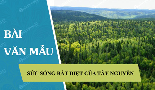 rung xa nu cho ta thay ro suc song bat diet cua thien nhien va con nguoi tay nguyen