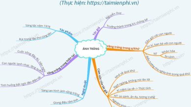 so do tu duy anh trang 390x220 2