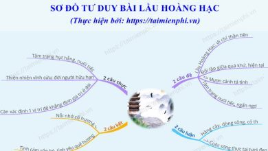 so do tu duy bai lau hoang hac 390x220 1