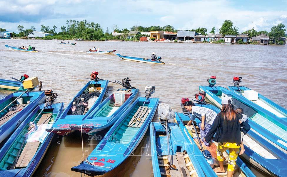 Sông nước Cà Mau