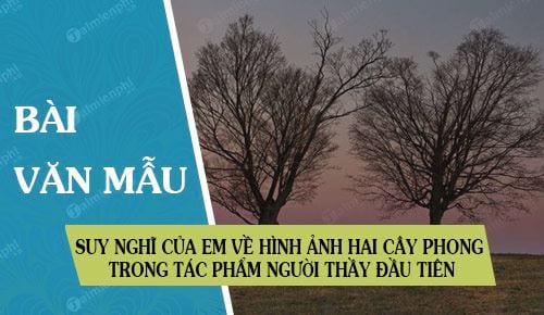 suy nghi cua em ve hinh anh hai cay phong trong tac pham nguoi thay dau tien cua ai ma top