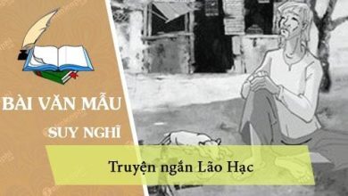 suy nghi cua em ve truyen ngan lao hac 390x220 2