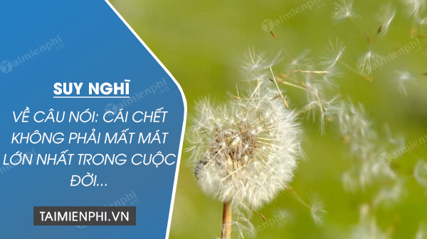 suy nghi ve cau noi cai chet khong phai mat mat lon nhat trong cuoc doi