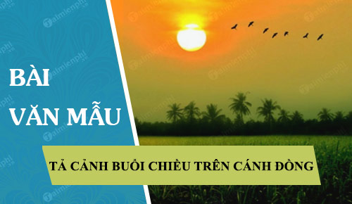 ta canh buoi chieu tren canh dong 41597