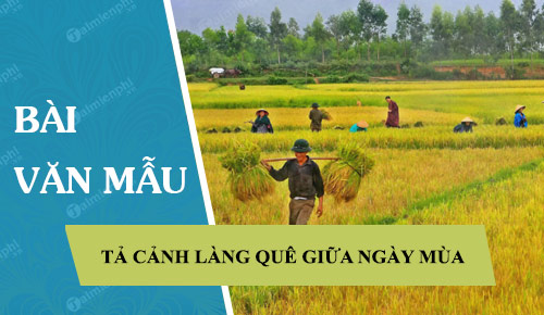 ta canh lang que giua ngay mua 41601