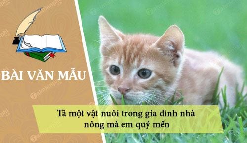 ta mot vat nuoi trong gia dinh nha nong ma em quy men