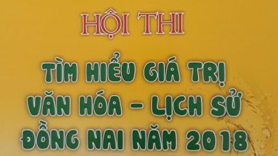 the le hoi thi tim hieu van hoa lich su dong nai 2018 640 390x220 1