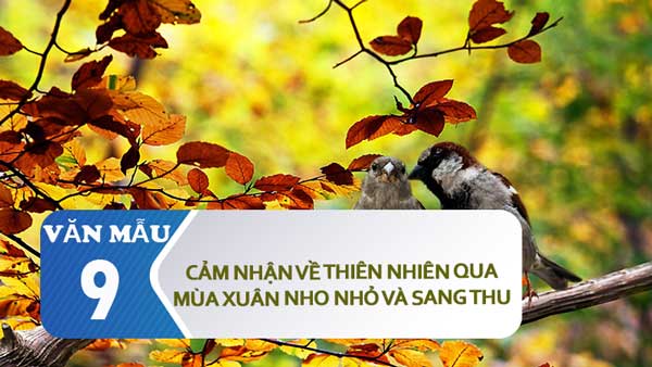 Cảm nhận về thiên nhiên qua hai đoạn thơ trong bài Mùa xuân nho nhỏ và Sang thu