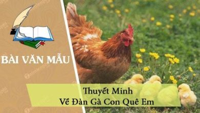 thuyet minh ve dan ga con que em 390x220 1