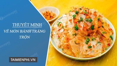 thuyet minh ve mon banh trang tron 390x220 1